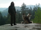west siberian laika