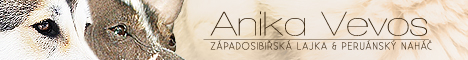 banner Anika Vevos