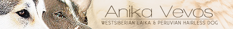 banner Anika Vevos
