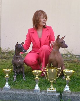 peruvian hairless dog